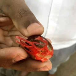 Macis Muskatblüte Gemahlen, BIO, 100g 9 Macis Muskatblüte Gemahlen, BIO, 100g -Kaffeegenuss Verkaufsgeschäft 27612d91fd4dde3a639d0f64964ecebd