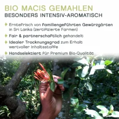 Macis Muskatblüte Gemahlen, BIO, 100g 10 Macis Muskatblüte Gemahlen, BIO, 100g -Kaffeegenuss Verkaufsgeschäft 5120eb63c7a9dfb06e5f99e78d88e875