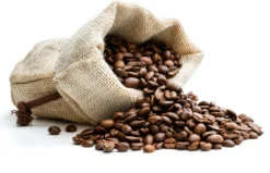 Café Intención Ecológico Caffè Crema | Fairtrade | Ganze Bohne | 1000g -Kaffeegenuss Verkaufsgeschäft 6f680653d8c0d3fd4e227255032377e4